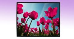 square lcd display
