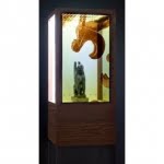 transparent displays