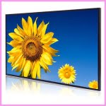 CDS high brightness sunflower