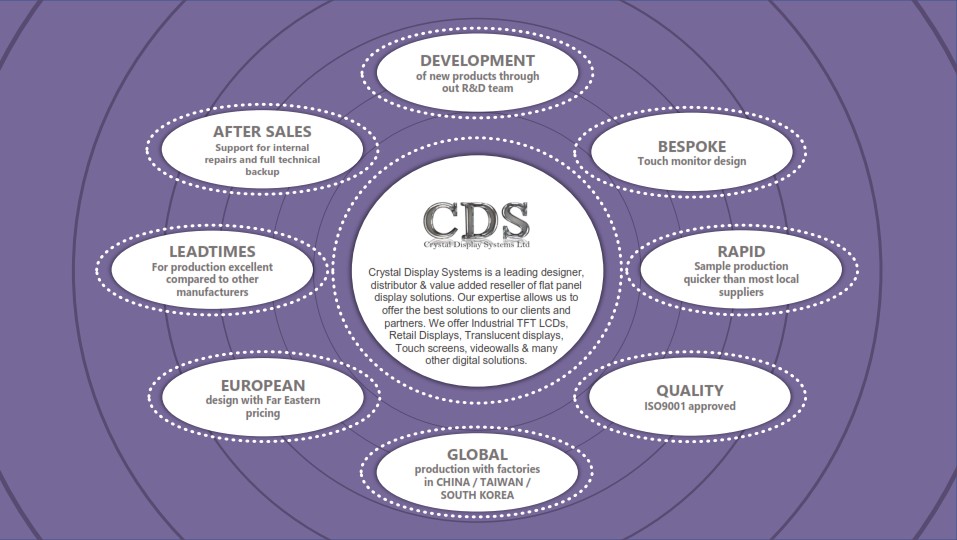 CDS Capability Graphic wheel