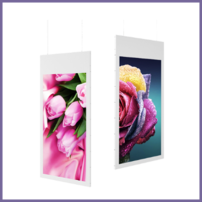 CDS double sided window signage