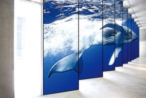 LG 88 inch Stretched Monitor6