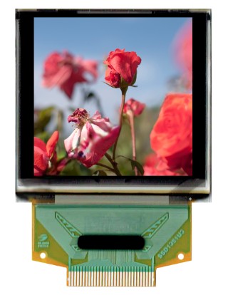 small oled display